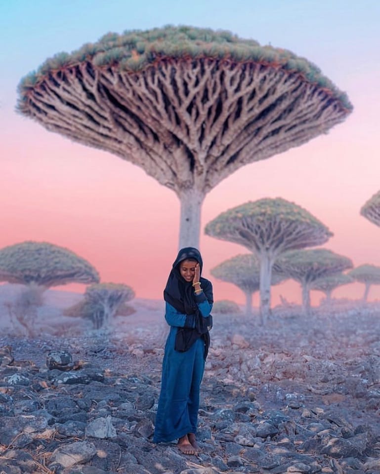 socotra